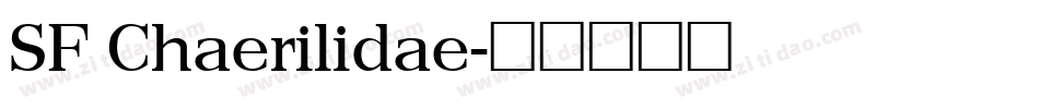 SF Chaerilidae字体转换